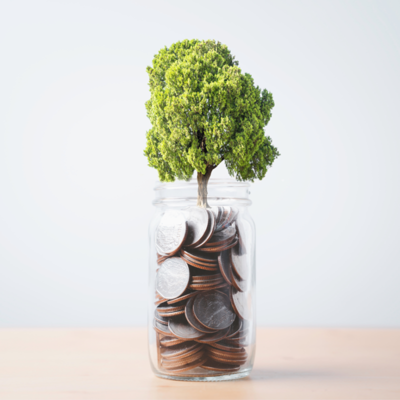 Making Your Money Matter: How To Get Started With Green Pensions 2